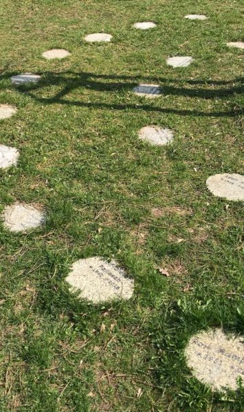 Friedhof St.Johannis Baumgrab "Typ 1 – Junge Linde mit ovaler Granitplatte"
