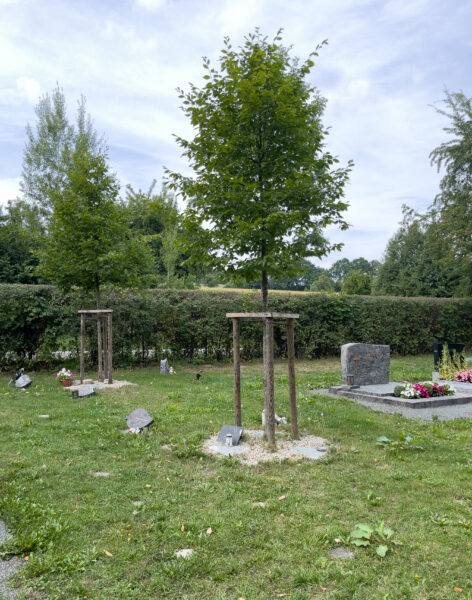 Friedhof Weidenberg, Blick auf verschiedene Grabarten