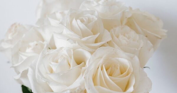 Farbsymbolik weißer Rosenstrauß, Farbsymbolik
