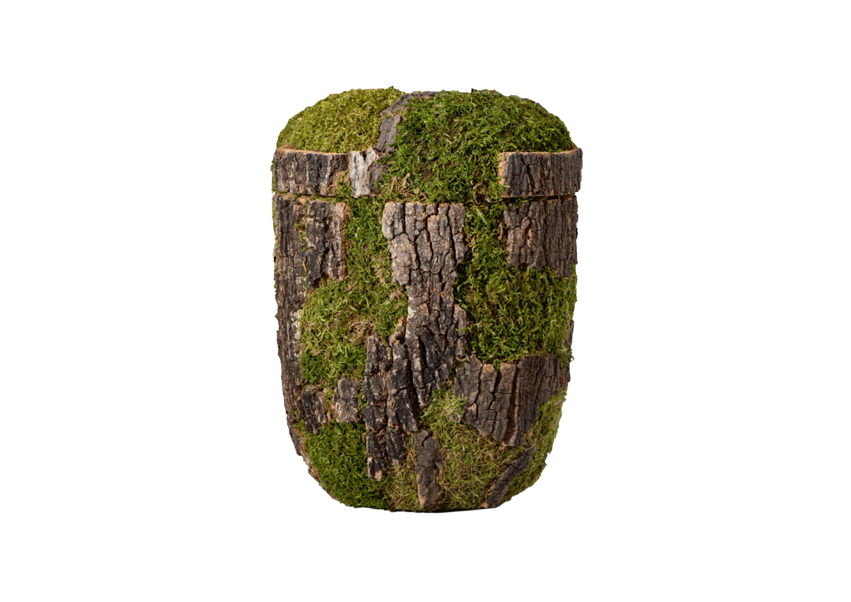 Ein zylindrischer Behälter mit rauer Baumrinde und grünem Moos, mit aufgesetztem Deckel, aus der Kollektion Edition Natura, vor einem schlichten weißen Hintergrund.