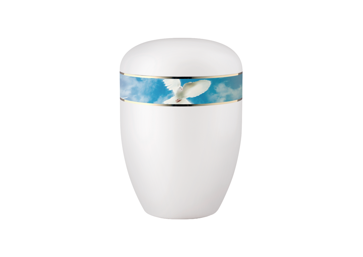 Edition „Elegance – 360°“